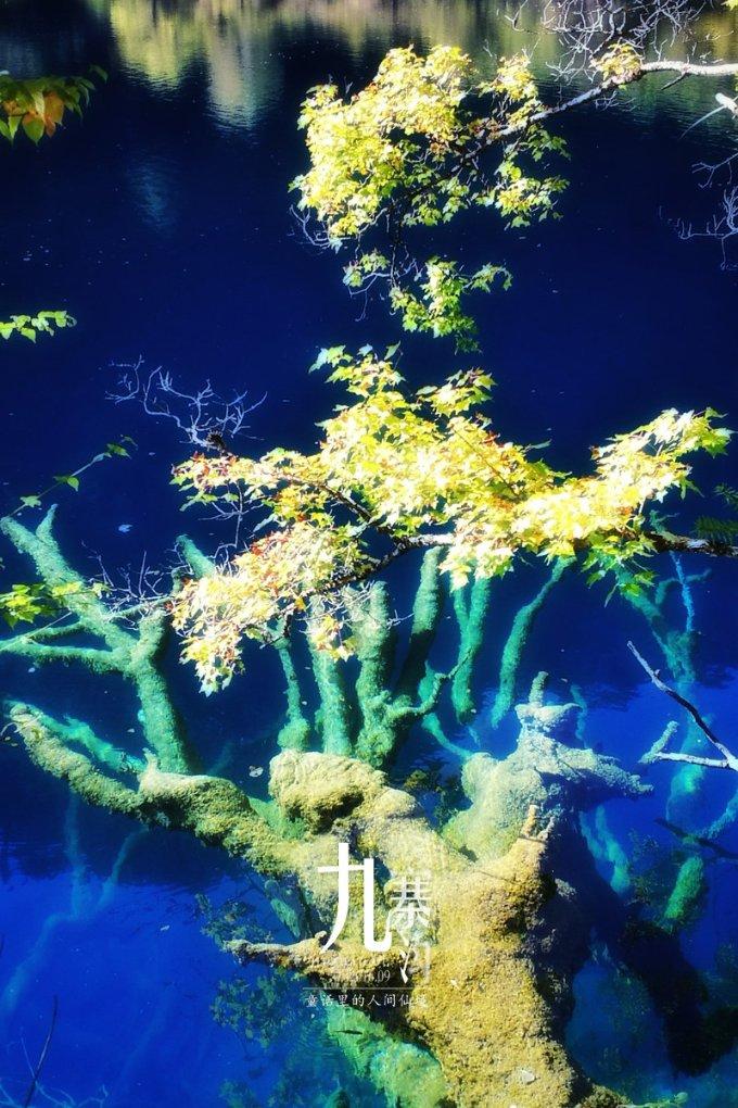 早晨是养肝黄金期!早餐吃蒸煮鸡蛋、南瓜,帮助代谢,肝脏更健康
