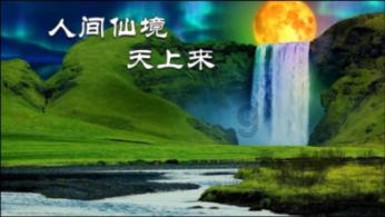 春雨直播app