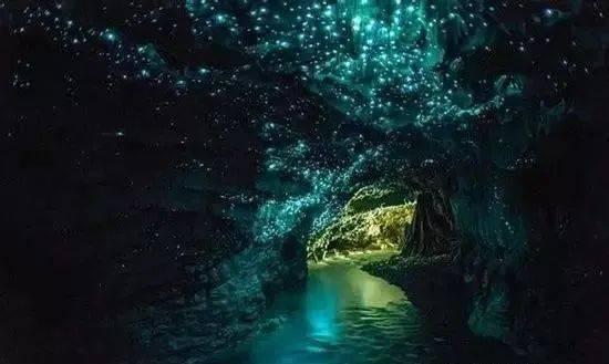 寻找火鸡