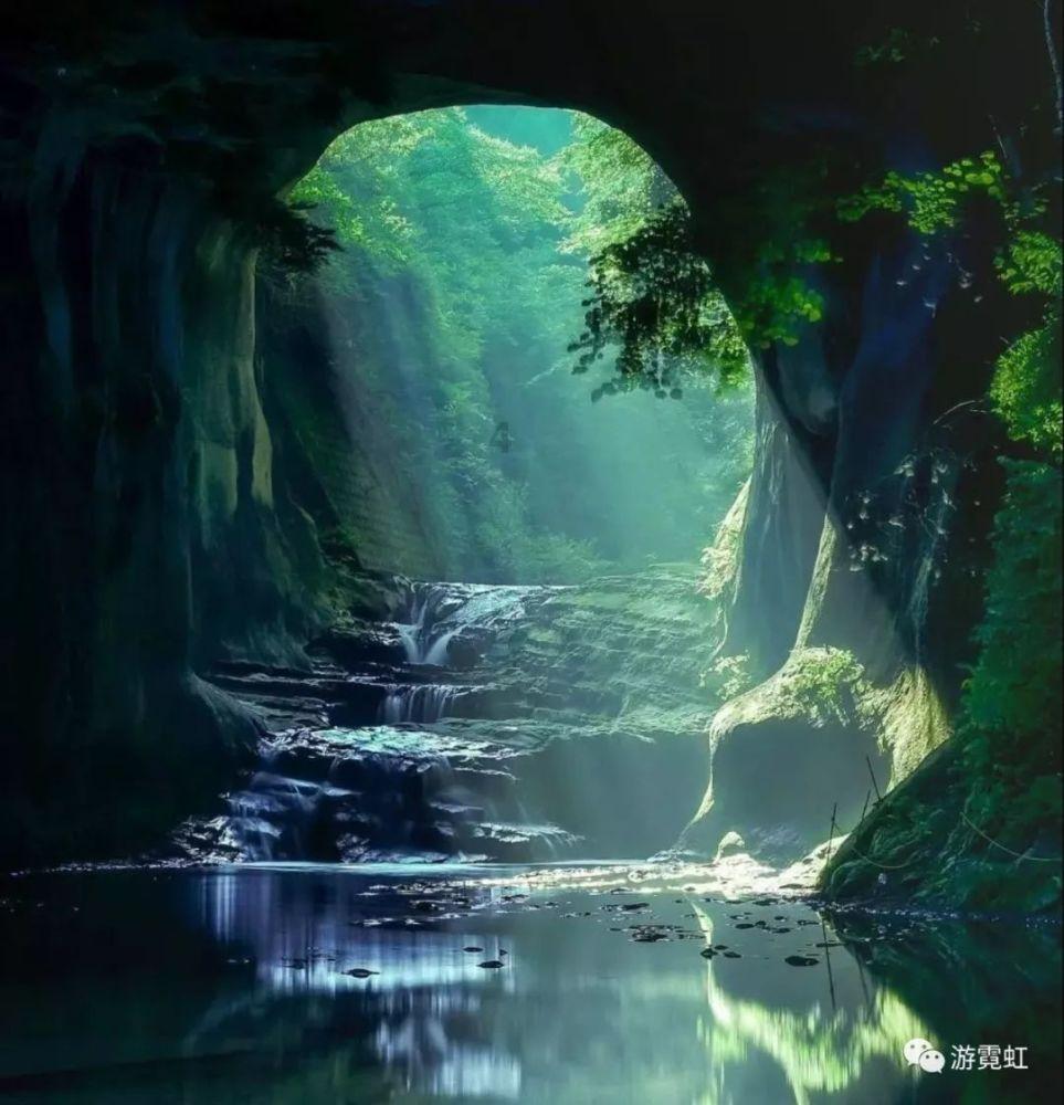 证券代码:海印股份 证券简称:000861 公告编号:2024-06号