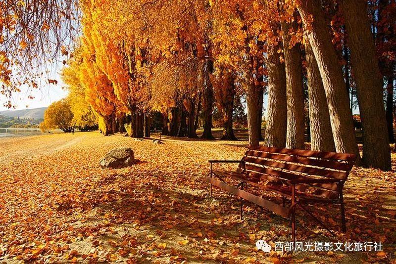 格斗战机