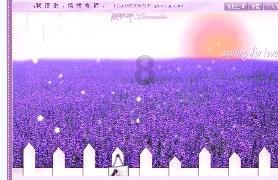 失事的飞机逃脱
