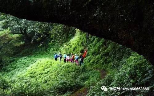 萌犬记忆卡