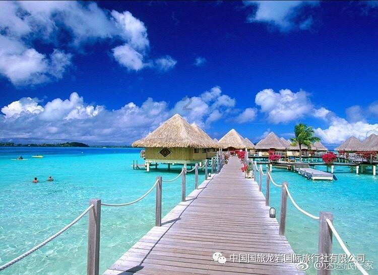 特斯拉市值一夜蒸发800亿美元,国产车申请出战!电池ETF(561910)获资金接连增仓