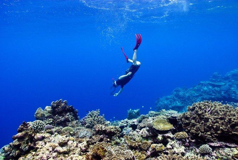 地方新闻精选｜浙江发现一例H3N2与H10N5混合感染病例 山西晋中一公职人员索贿被免职