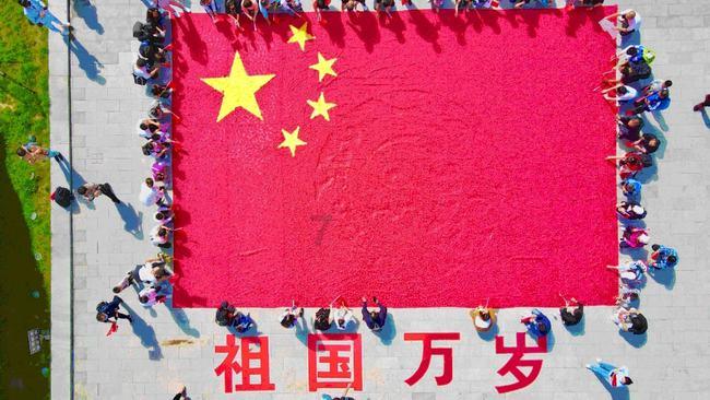 蓝狐视频