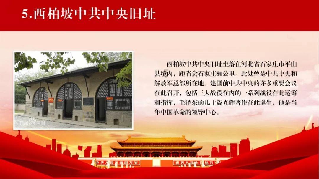 救援非洲金猫