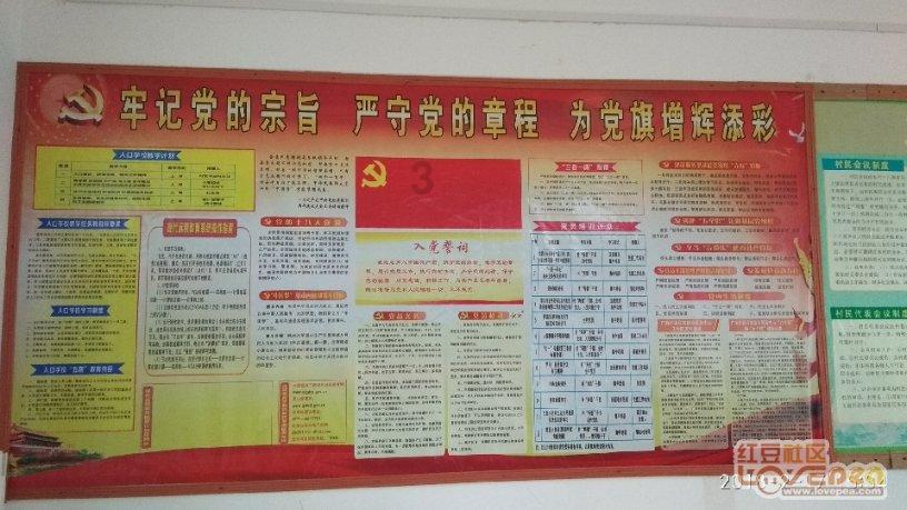 初体计划
