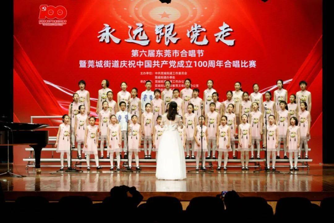6种叶片好看的室内绿植