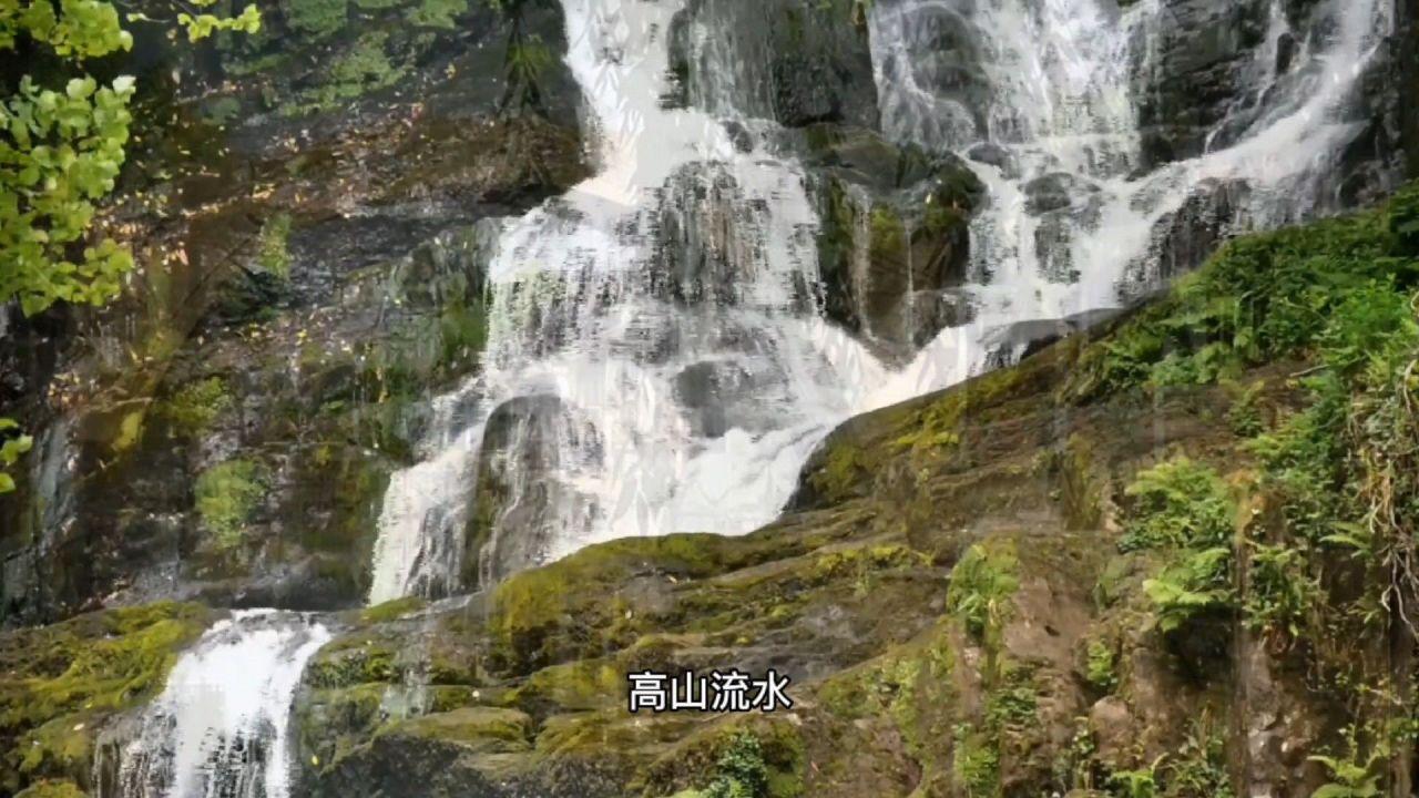 水果射击挑战