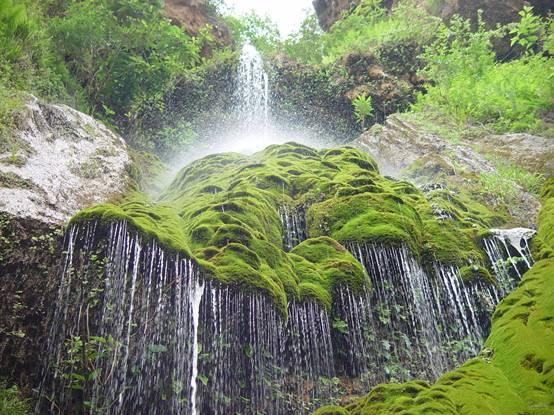 “南橘北莓”背后：“出圈”的特色鲜果兴业助农