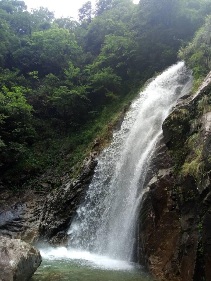 营救小乌龟