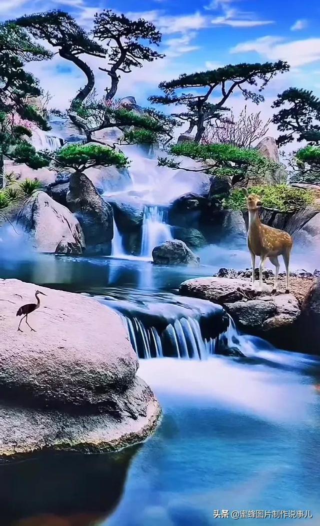 逃离变色龙森林