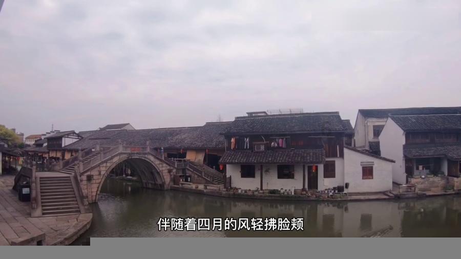 逃离未知丛林