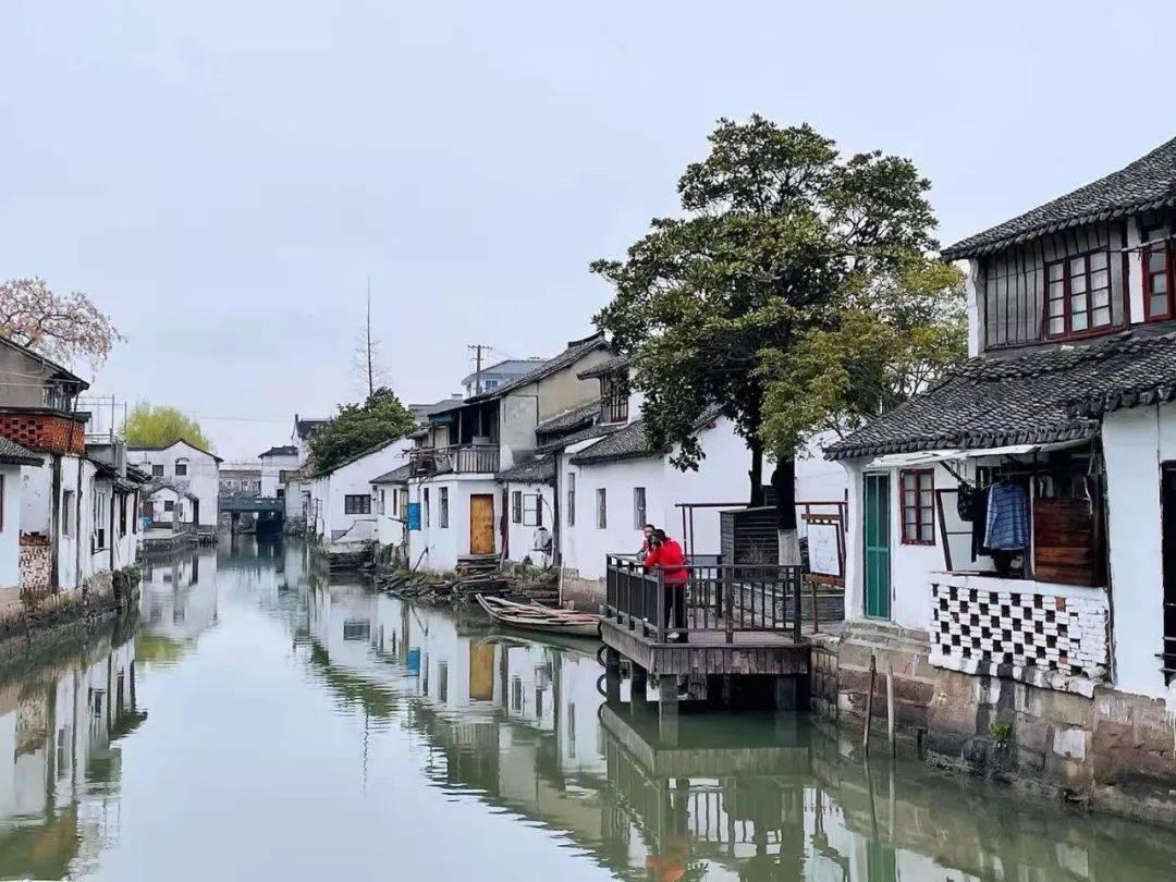 云阳红橙首次进入中东市场