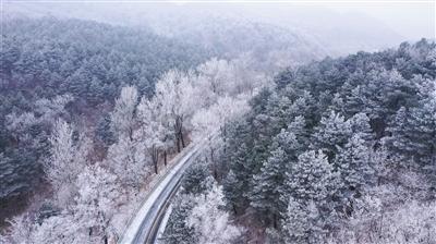 为产业赋能，提升护工职业“社会认同感”